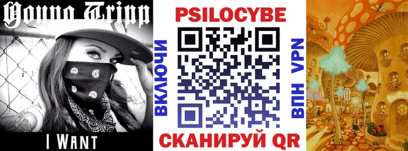KRAKEN зеркало  Калач-на-Дону  Псилоцибиновые грибы ЛСД 